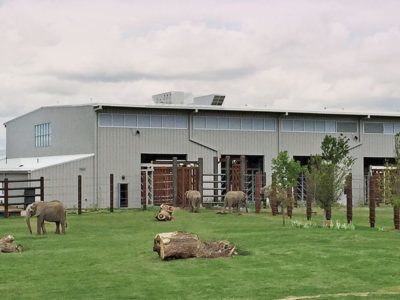 Steel building for zoo's elephant barn