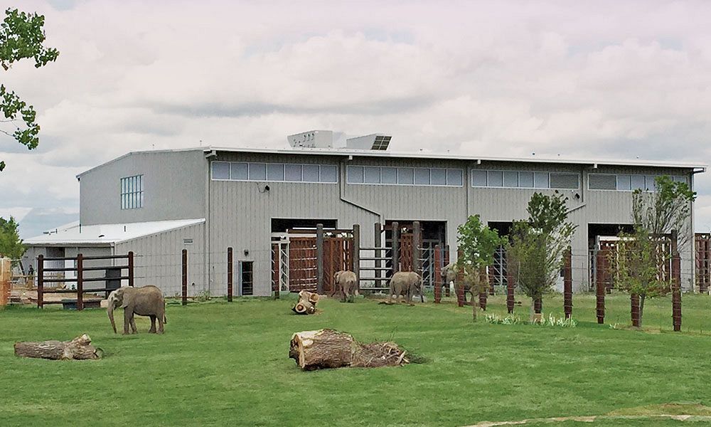 Steel building for zoo's elephant barn