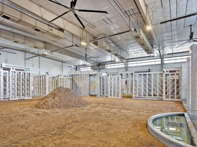 Interior of steel building for elephant barn