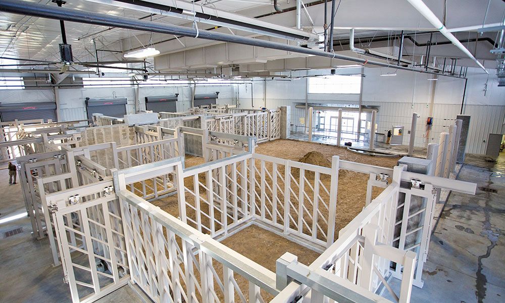 Interior of steel building for zoo