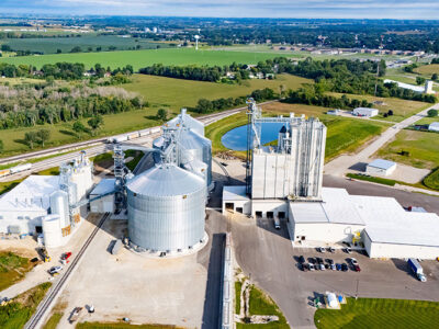 Agricultural feed and grain