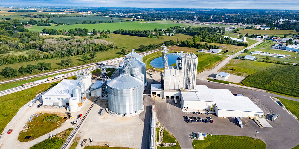 Agricultural feed and grain